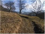 Cerkno - Škofje